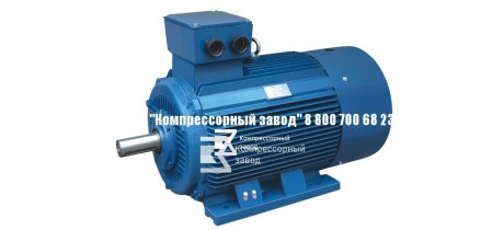 Электродвигатель АИР355М6